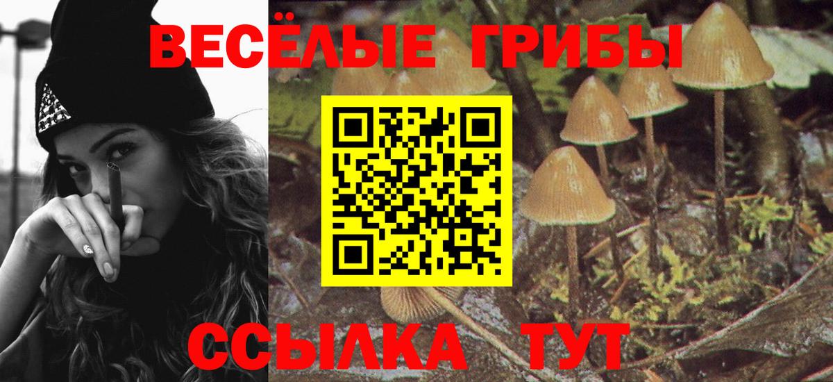 Псилоцибиновые грибы мухоморы  Вход с VPN  Шатура  как найти наркотики  Псилоцибиновые грибы мухоморы 