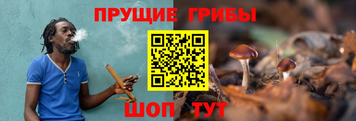 Псилоцибиновые грибы ЛСД Шатура
